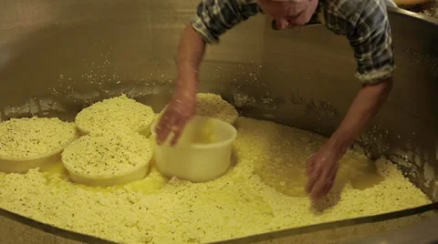 Filling molds with cheese curd Stock Footage 36195512