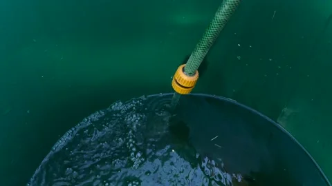 Filling plastic barrel with fresh water through the hose. Water supply Stock Footage 138809094