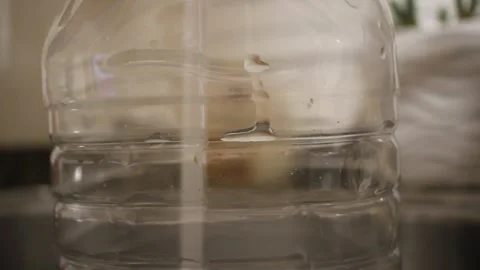 Filling a plastic bottle with water Stock Footage 330774438