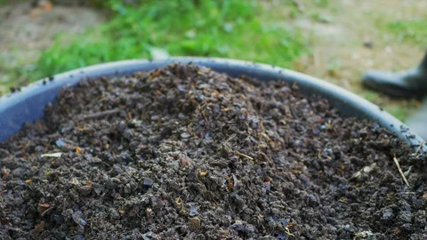 Filling pot with compost Stock Footage 127250315