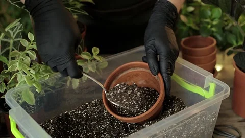 Filling the soil mix into the ceramic terracotta pot close up Stock Footage 224443768