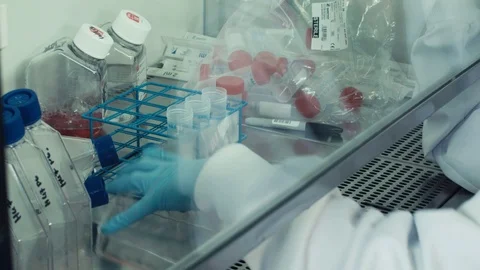 Filling syringe in pharmaceutical lab with red liquid and transferring to Stock Footage 99068694