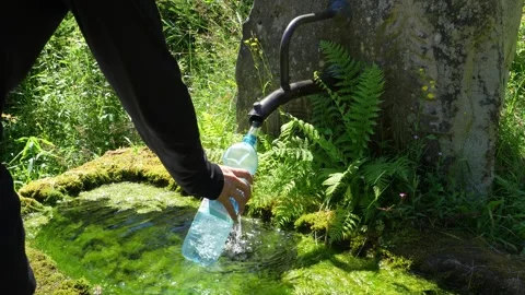 Filling Water Bottle from Natural Spring in Baden-Württemberg, Germany Stock Footage 345546803
