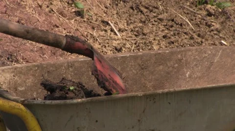 Filling wheelbarrow Stock-Footage 46969656