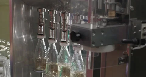 Filling white wine by the machine into bottles made of transparent glass. White Stock Footage 247952021