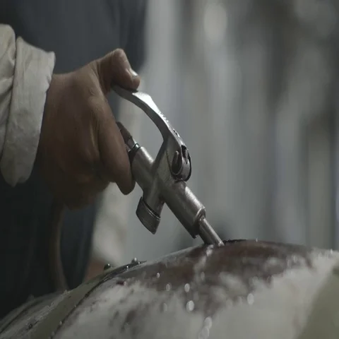 Filling a wine barrel Stock Footage 69339321