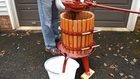 Filling Wine Press Video stock 117738212