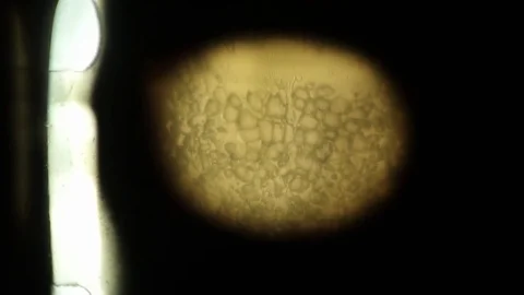 Film burn and melting on projection Stock Footage