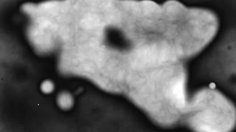 Film Burn Effect Stock Footage 303365271