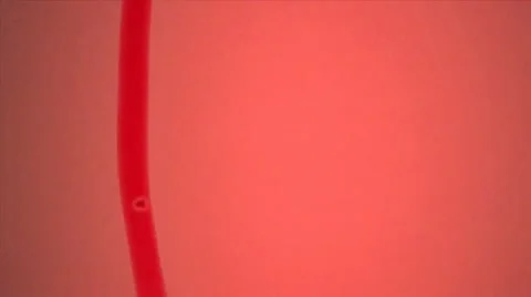 Film burn / Flicker effect 9 Stock Footage 10851352