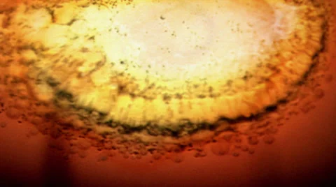 Film Burn Stock Footage