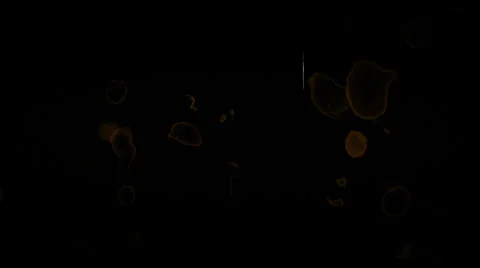 Film Damage 3 Stock-Footage 34555280