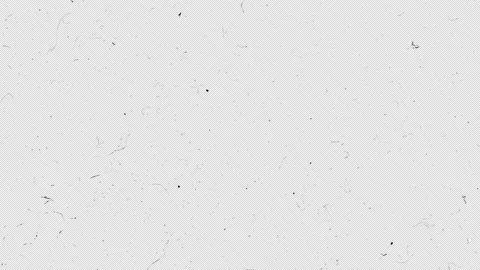 Film Damage Alpha Stock Footage 206116077