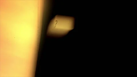 Film Damage Background  Vidéo 164786253