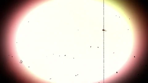 FILM DAMAGE LOOP  Stock Footage 164787099