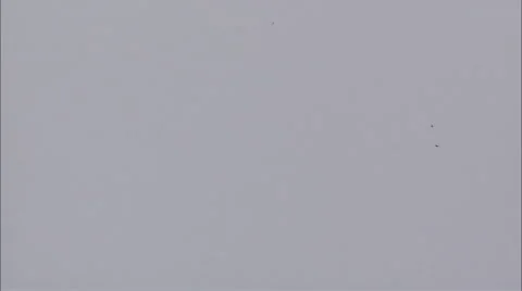 Film GRAIN 5 Stock Footage 50636341