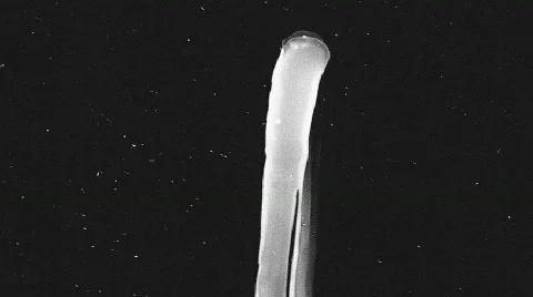 Film Leader Notes Looping Stock Footage