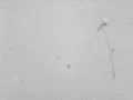 Film Leader Texture - Vintage Super8 Film Footage