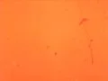 Film Leader Texture - Vintage Super8 Film Footage