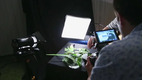 Film maker uses leaves to make natural videos and photos Stock Footage 231718140