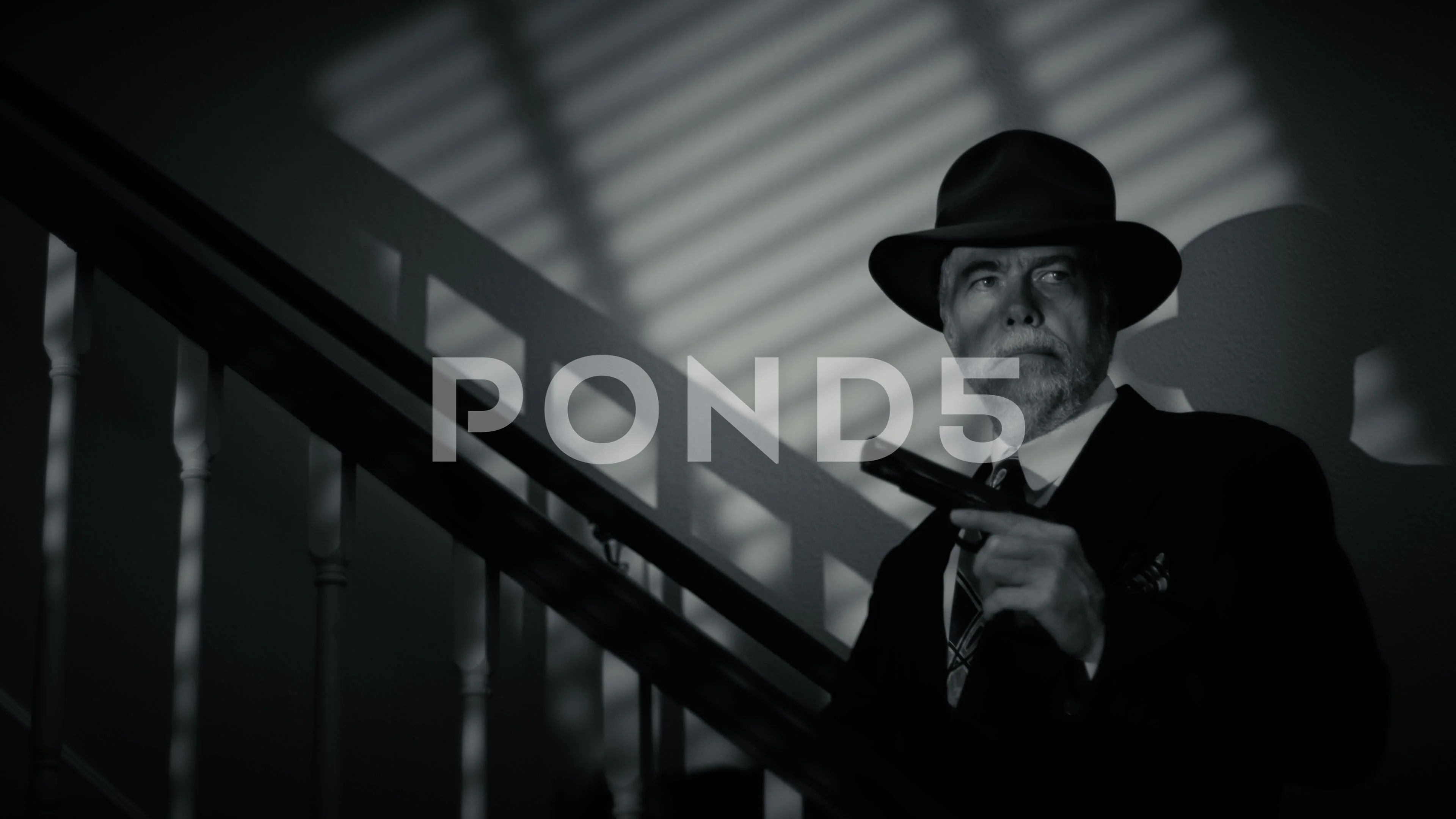 Film Noir  Film noir photography, Film noir, Noir detective