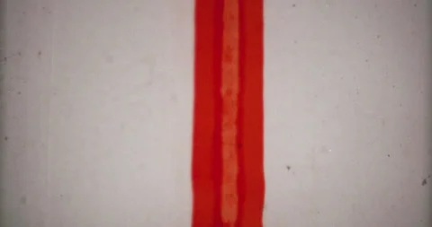 Film roll start Vídeo Stock 145737544