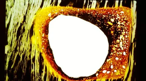 Film scratch 스톡 동영상 11581839