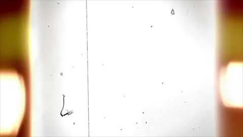 Film Strip Loop Background  Stock Footage 164955266