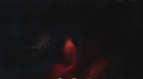 Film tape burning Stock Footage