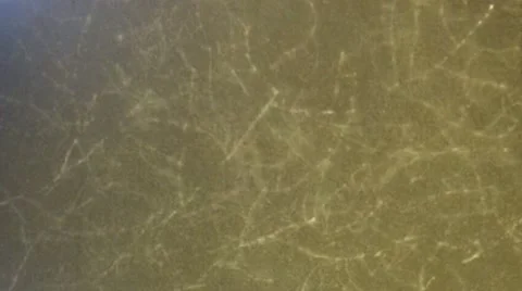 Film Texture 스톡 동영상 48339016