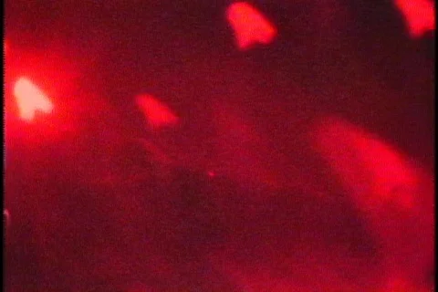 Film87 Stock Footage 70072