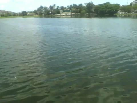 Filming a beautiful weir with waves, can see trees, cars and buildings Stock Footage 163679894
