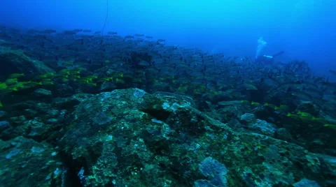 Filming a camera in diving activity under the sea of Andaman Islands Stock Footage 46087720