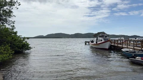 Filming of the Costa da Lagoa Trail to Canto dos Aracas Stock Footage 294129727