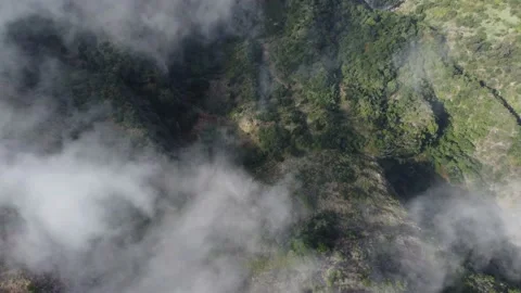 Filming the deep forest from above with passing clouds Stock Footage 171421004