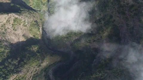 Filming the deep forest from above with passing clouds Stock Footage 173033082