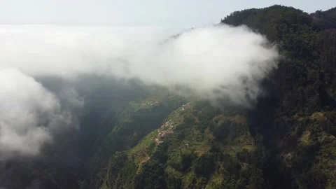 Filming the deep forest from above with passing clouds. Stock Footage 176795916