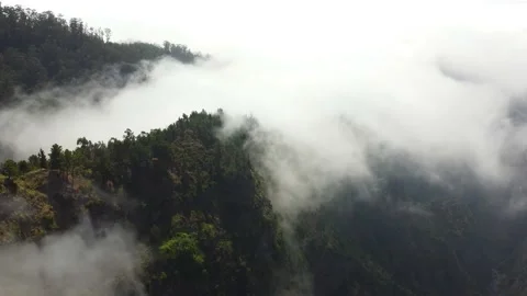 Filming the deep forest from above with passing clouds Stock Footage 180415308