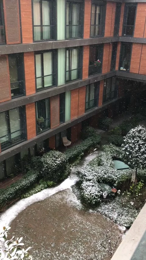 Filming the falling snow in the inner garden Stock Footage 233097685