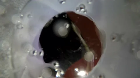 Filming inside pouring clear transparent soda water drink in plastic cup from au Stock Footage 137540052