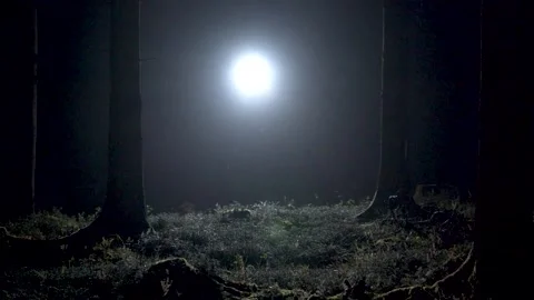Filming light imitating moon light 動画素材 154555278
