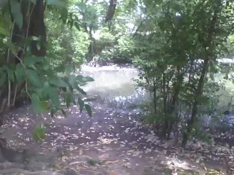Filming the mangrove at the science museum from afar, you can see the cars Stock Footage 162283553