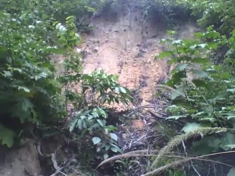 Filming a ravine in the park in forest, it looks like there was a landslide Stock Footage 163678069