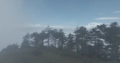 Filming snow-capped mountains while flying high through the woods log Video stock 337929378