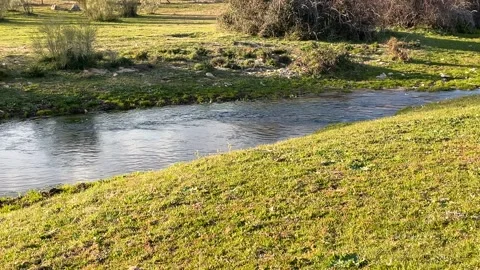 Filming of a stream at sunset Vídeos de archivo 293205587