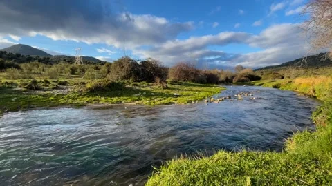 Filming of the stretch of a stream Stock-Footage 293203229