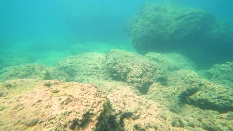 Filming Underwater Stock Footage 143429398