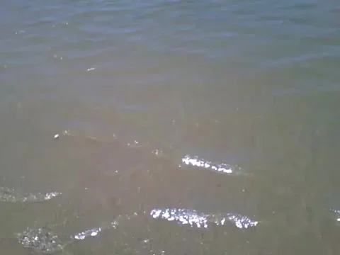 Filming the waves at sea, it was very calm in this area of the beach Stock Footage 162147299