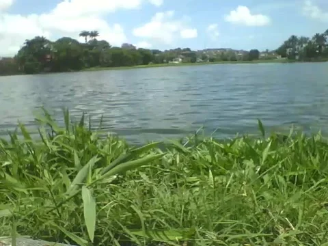 Filming the weir with waves near the grass, beautiful horizon, very pretty Stock Footage 163679907