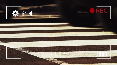 Filming zebra crossing in fast motion on a digital camera Stock Footage 115269074